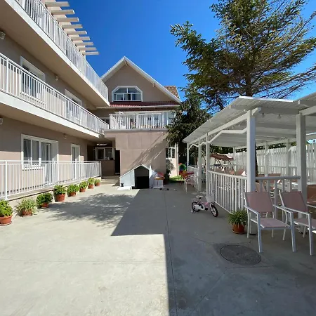 Vila Anca Mamaia Nord Guest house